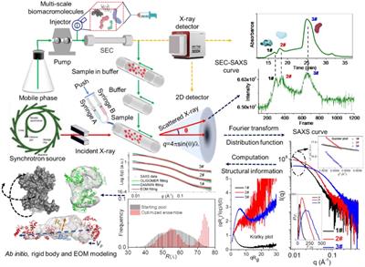 Recent advances in structural characterization of biomacromolecules in foods via small-angle X-ray scattering